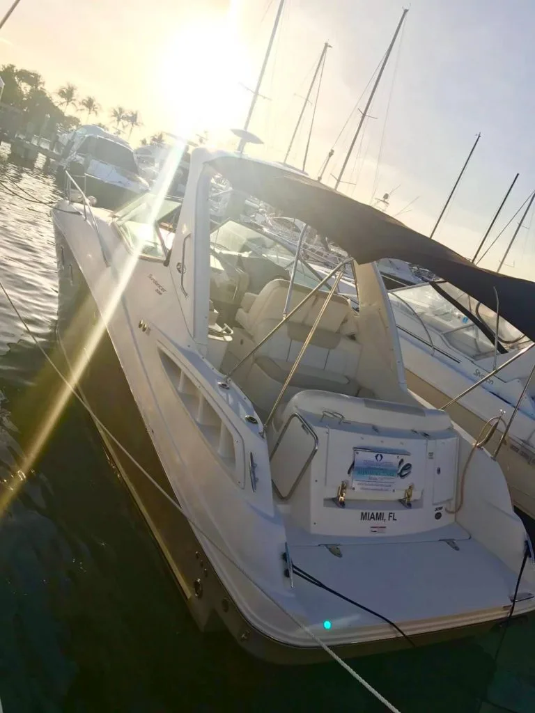 33′ Sea Ray — детали внешнего вида или интерьера
